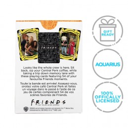 AQUARIUS ENT FRIENDS POKER PLAYING CARDS