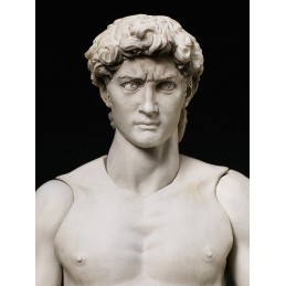 DAVID DI MICHELANGELO TABLE MUSEUM FIGMA ACTION FIGURE FREEING