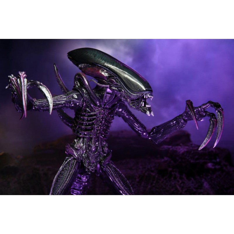 Neca Aliens Vs Predator Game Movie Deco Set X Action Figures