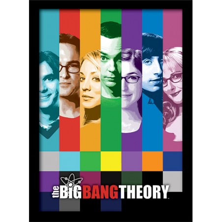 THE BIG BANG THEORY SIGNALS FRAMED POSTER 30X40CM