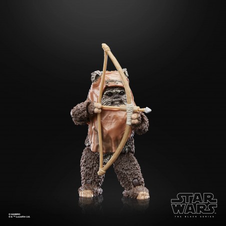STAR WARS THE BLACK SERIES WICKET ACTION FIGURE