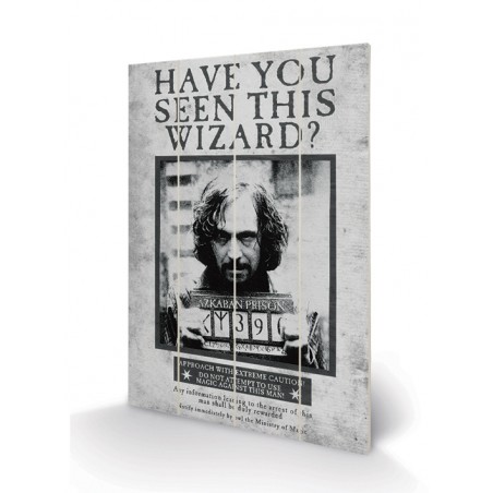 HARRY POTTER SIRIUS WANTED WOOD PRINT STAMPA SU LEGNO 60X40CM