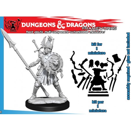 DUNGEONS AND DRAGONS FRAMEWORKS HUMAN FIGHTER FEMALE MODEL KIT MINIATURE FIGURE