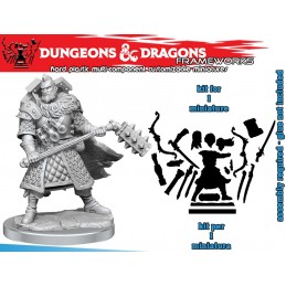 DUNGEONS AND DRAGONS FRAMEWORKS HUMAN FIGHTER MALE MODEL KIT MINIATURE FIGURE WIZKIDS