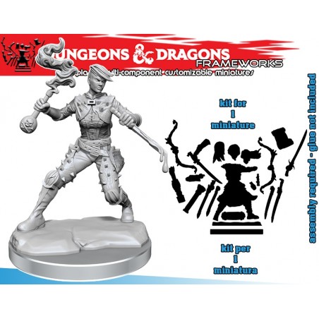 DUNGEONS AND DRAGONS FRAMEWORKS HUMAN ROGUE FEMALE MODEL KIT MINIATURE FIGURE