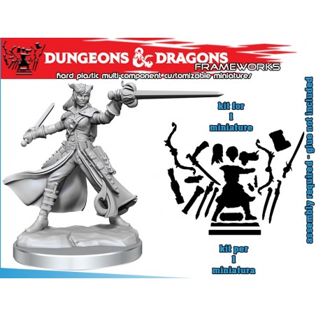 DUNGEONS AND DRAGONS FRAMEWORKS TIEFLING ROGUE FEMALE MODEL KIT MINIATURE FIGURE