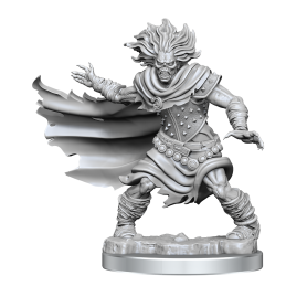 WIZKIDS DUNGEONS AND DRAGONS FRAMEWORKS WIGHT MODEL KIT MINIATURE FIGURE