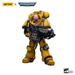 WARHAMMER 40000 IMPERIAL FISTS HEAVY INTERCESSORS 02 ACTION FIGURE JOY TOY (CN)