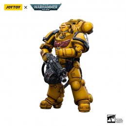 JOY TOY (CN) WARHAMMER 40000 IMPERIAL FISTS HEAVY INTERCESSORS 01 ACTION FIGURE