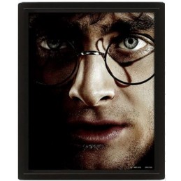 PYRAMID INTERNATIONAL HARRY POTTER AND VOLDEMORT LENTICULAR 3D POSTER 25X20CM