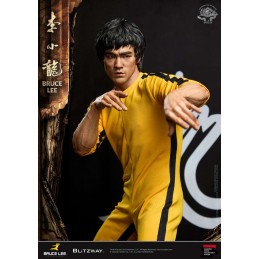 BLITZWAY BRUCE LEE TRIBUTE 50TH ANNIVERSARY SUPERB 55CM STATUE FIGURE