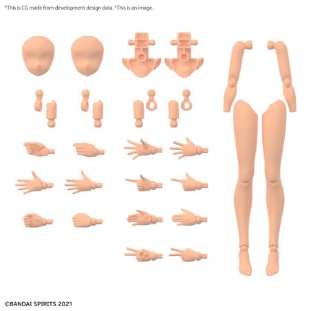 30MS OPTIONAL BODY PARTS ARMS & LEGS COLOR C