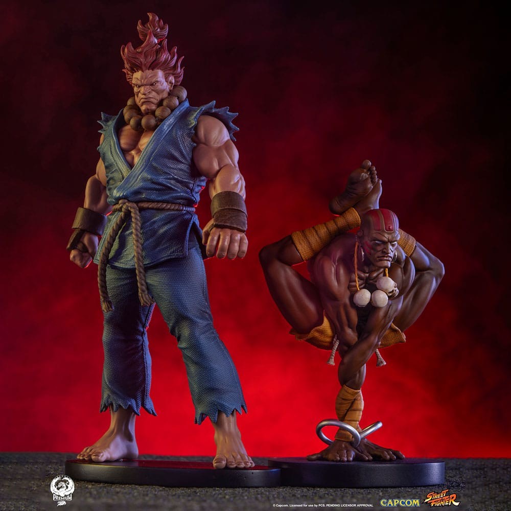 NECA Street Fighter IV Akuma, GogDog