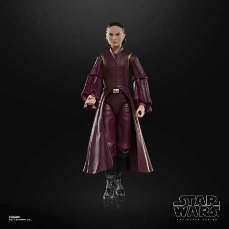 STAR WARS THE BLACK SERIES PADME AMIDALA ACTION FIGURE