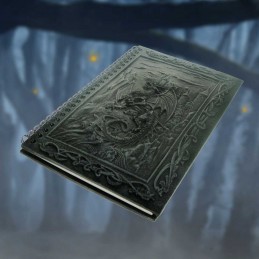 DRAGONS KINGDOM RESIN COVER JOURNAL A5 AGENDA SPIRALE TACCUINO NEMESIS NOW