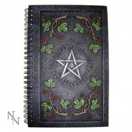 WICCAN BOOK OF SHADOWS RESIN COVER JOURNAL A5 AGENDA SPIRALE TACCUINO NEMESIS NOW
