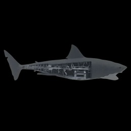 FACTORY ENTERTAINMENT JAWS MECHANICAL BRUCE SHARK SCALED PROP REPLICA