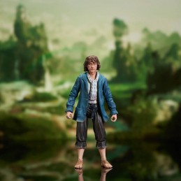 DIAMOND SELECT THE LORD OF THE RINGS SELECT MERRY AND PIPPIN ACTION FIGURES