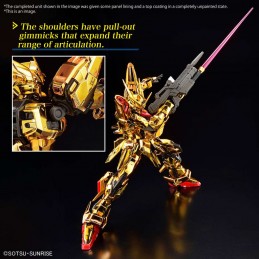 BANDAI REAL GRADE AKATSUKI GUNDAM OOWASHI PACK 1/144 MODEL KIT FIGURE