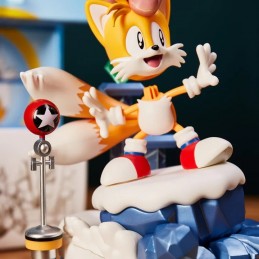 SONIC THE HEDGEHOG TAILS ADVENT CALENDAR COUNTDOWN CHARACTER MODEL KIT NUMSKULL