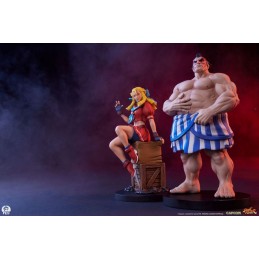 PCS PREMIUM COLLECTIBLES STUDIOS STREET FIGHTER KARIN AND E.HONDA STATUE FIGURE