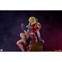 PCS PREMIUM COLLECTIBLES STUDIOS STREET FIGHTER KARIN AND E.HONDA STATUE FIGURE