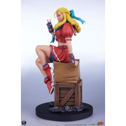 PCS PREMIUM COLLECTIBLES STUDIOS STREET FIGHTER KARIN AND E.HONDA STATUE FIGURE