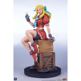 STREET FIGHTER KARIN AND E.HONDA STATUA FIGURE PCS PREMIUM COLLECTIBLES STUDIOS