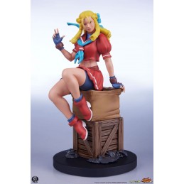 PCS PREMIUM COLLECTIBLES STUDIOS STREET FIGHTER KARIN AND E.HONDA STATUE FIGURE