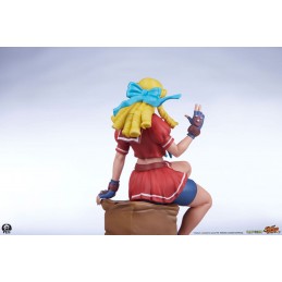 PCS PREMIUM COLLECTIBLES STUDIOS STREET FIGHTER KARIN AND E.HONDA STATUE FIGURE