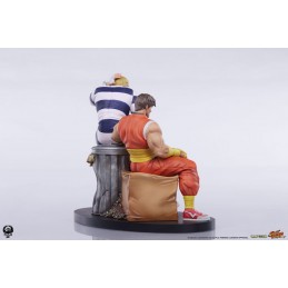 STREET FIGHTER CODY AND GUY STATUA FIGURE PCS PREMIUM COLLECTIBLES STUDIOS