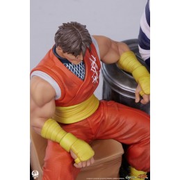 STREET FIGHTER CODY AND GUY STATUA FIGURE PCS PREMIUM COLLECTIBLES STUDIOS