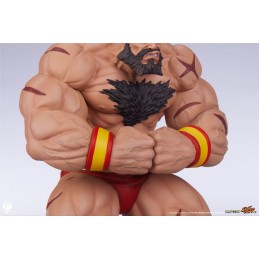 STREET FIGHTER ZANGIEF AND GEN STATUA FIGURE PCS PREMIUM COLLECTIBLES STUDIOS