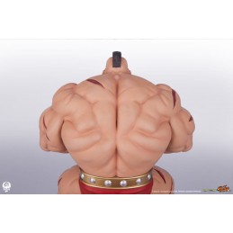 STREET FIGHTER ZANGIEF AND GEN STATUA FIGURE PCS PREMIUM COLLECTIBLES STUDIOS