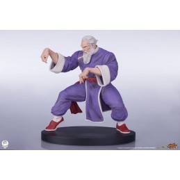 PCS PREMIUM COLLECTIBLES STUDIOS STREET FIGHTER ZANGIEF AND GEN STATUE FIGURE