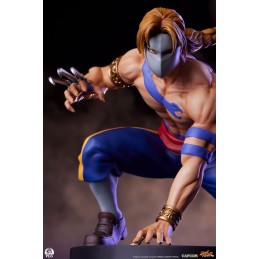 STREET FIGHTER KEN AND VEGA STATUA FIGURE PCS PREMIUM COLLECTIBLES STUDIOS