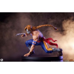 STREET FIGHTER KEN AND VEGA STATUA FIGURE PCS PREMIUM COLLECTIBLES STUDIOS