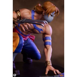 STREET FIGHTER KEN AND VEGA STATUA FIGURE PCS PREMIUM COLLECTIBLES STUDIOS