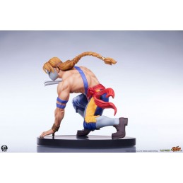 STREET FIGHTER KEN AND VEGA STATUA FIGURE PCS PREMIUM COLLECTIBLES STUDIOS