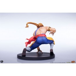 STREET FIGHTER KEN AND VEGA STATUA FIGURE PCS PREMIUM COLLECTIBLES STUDIOS