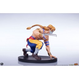 STREET FIGHTER KEN AND VEGA STATUA FIGURE PCS PREMIUM COLLECTIBLES STUDIOS