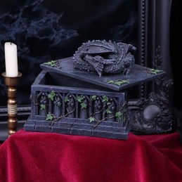 DRAGON TAROT CARD BOX SCATOLA STATUA NEMESIS NOW