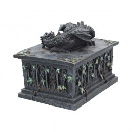 DRAGON TAROT CARD BOX SCATOLA STATUA NEMESIS NOW