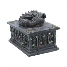 DRAGON TAROT CARD BOX SCATOLA STATUA NEMESIS NOW