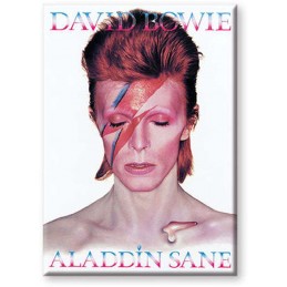 AQUARIUS ENT DAVID BOWIE ALADDIN SANE MAGNET