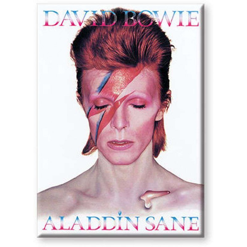 DAVID BOWIE ALADDIN SANE MAGNETE AQUARIUS ENT