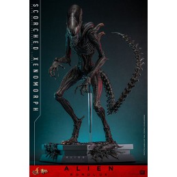 ALIEN ROMULUS MOVIE MASTERPIECE SCORCHED XENOMORPH ACTION FIGURE HOT TOYS