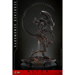 ALIEN ROMULUS MOVIE MASTERPIECE SCORCHED XENOMORPH ACTION FIGURE HOT TOYS