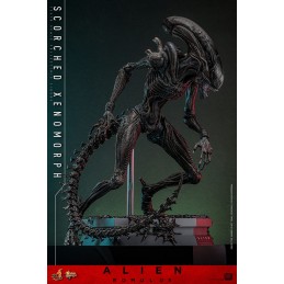 ALIEN ROMULUS MOVIE MASTERPIECE SCORCHED XENOMORPH ACTION FIGURE HOT TOYS