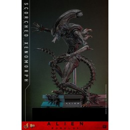 ALIEN ROMULUS MOVIE MASTERPIECE SCORCHED XENOMORPH ACTION FIGURE HOT TOYS